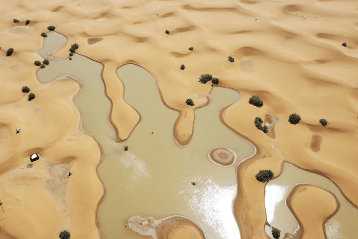sahara desert Sahara desert floods for the first time in 50 years: Rare rainfall creates stunning lagoons