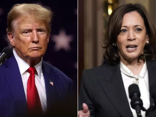 Kamala Harris vs Donald Trump – Who’s Better for Nifty Bulls? – November 2024