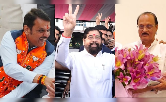 Mahayuti alliance wins in Maharashtra Assembly Elections 2024