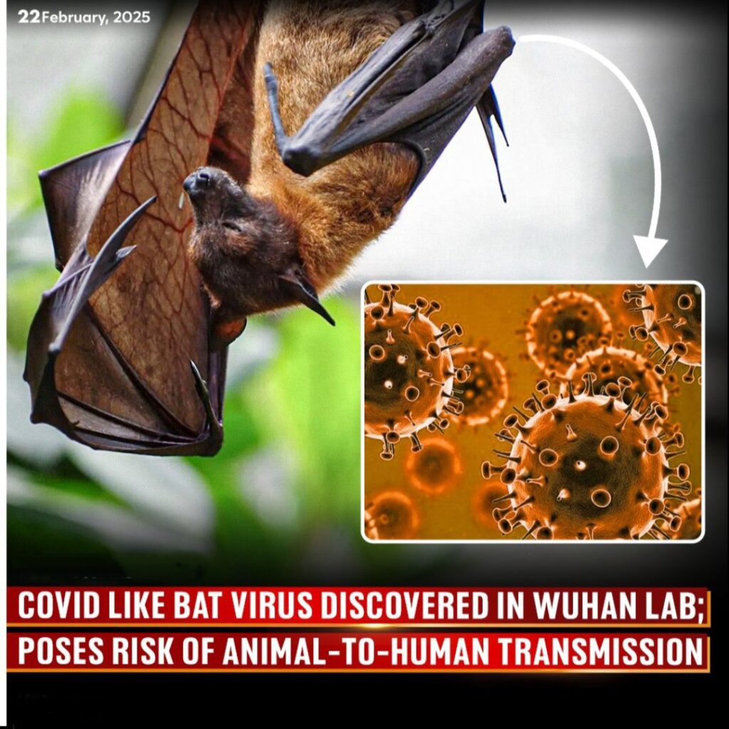 1000089515 Bat Virus Discovery Echoes COVID Similarities in Latest Study