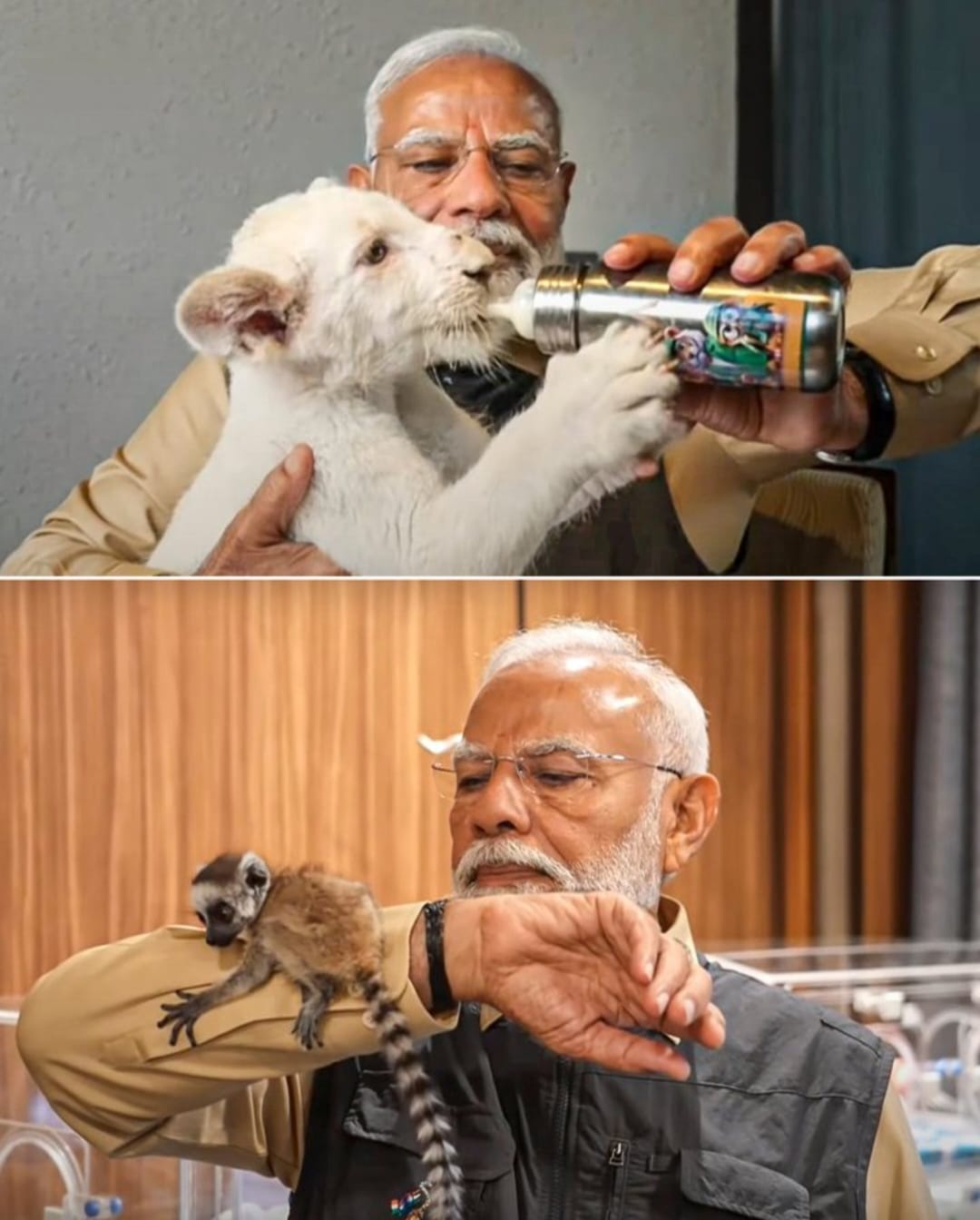 1000090941 Narendra Modi Inaugurates Vantara Animal Rescue Center