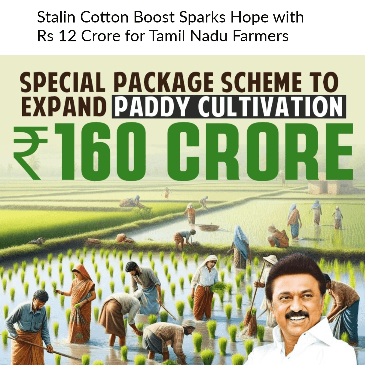 1000093675 Stalin Cotton Boost Sparks Hope with Rs 12 Crore for Tamil Nadu Farmers