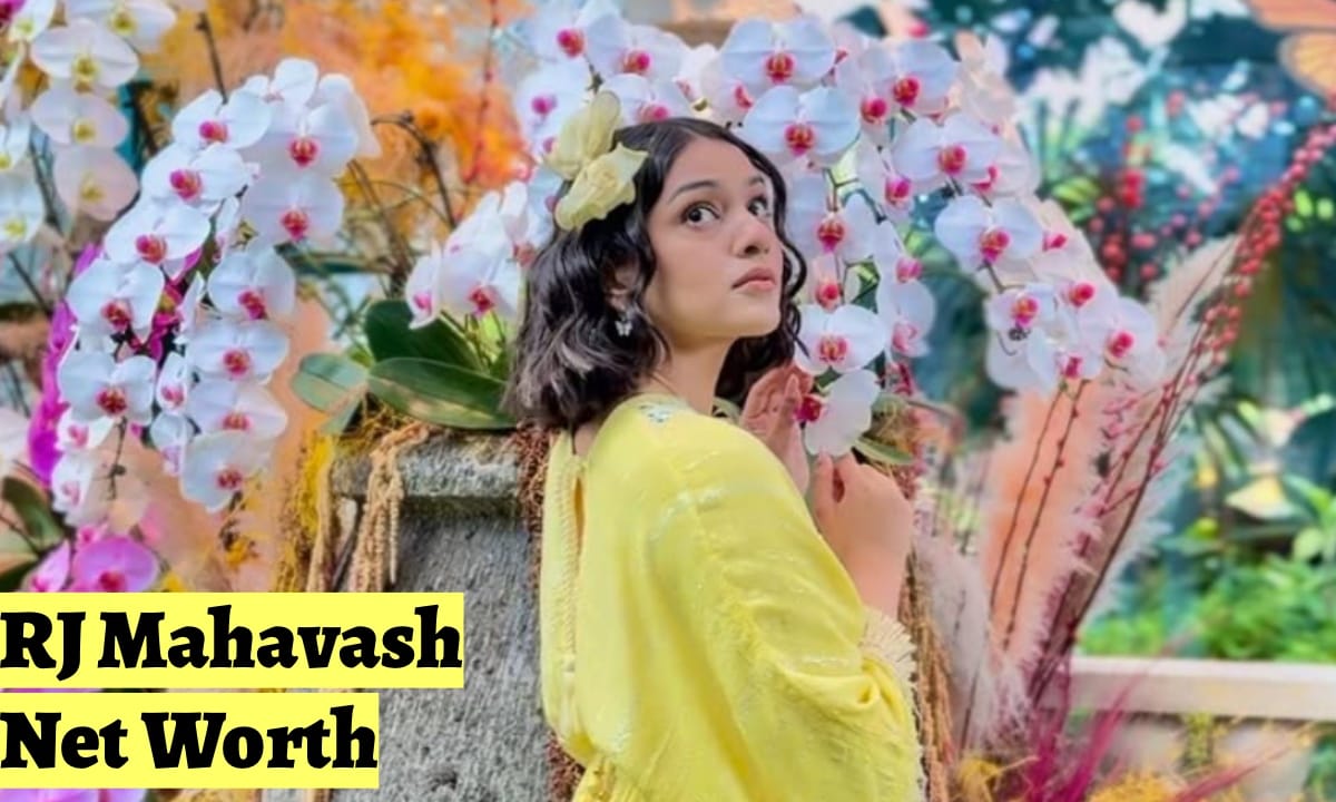 IMG 3186 आरजे महवाश नेट वोर्ट ₹ 35 लाख? यहां से देखें, आरजे महवास से संबंधित पूरी जानकारी