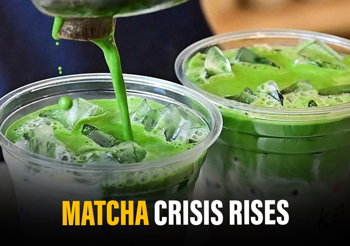 matcha मटका की कमी वैश्विक मांग में वृद्धि के रूप में हिट होती है