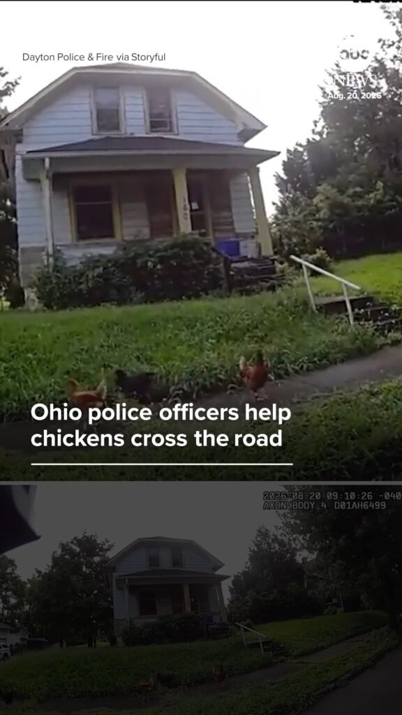 Latest news in the US