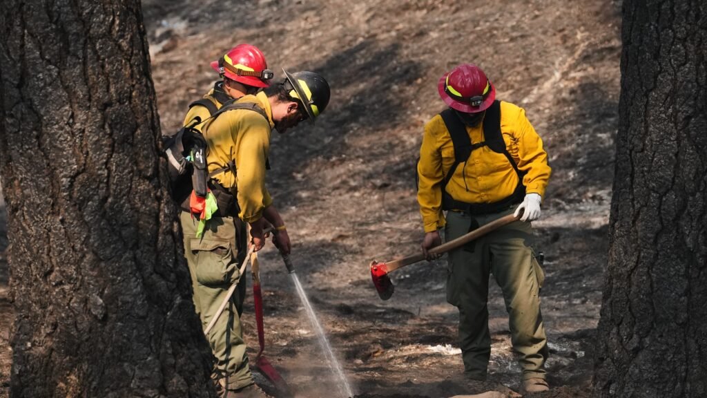 US Headlines: Trade War Escalates, Western Wildfires Rage, Immigration Shifts 1 Latest news in the US