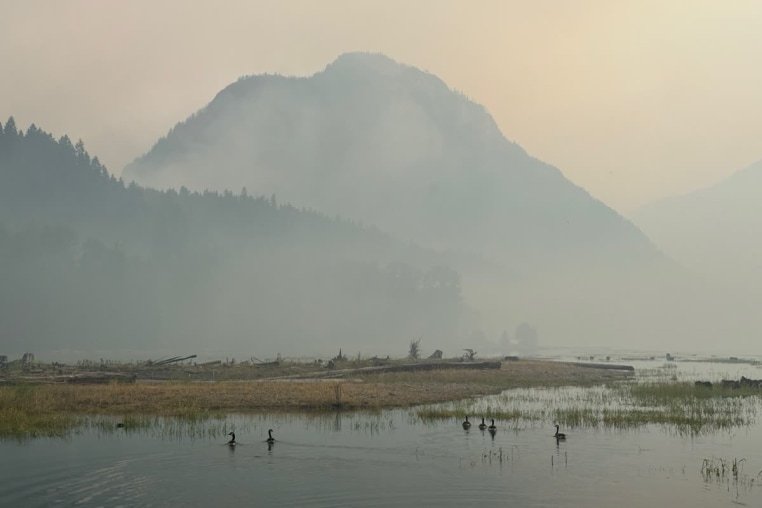 US Headlines: Kennedy Center, Mangione Plea, Wildfires & Tech Privacy Updates 6 trending news in us